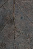 Herbst - Laubdetails