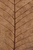 Herbst - Laubdetails