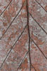 Herbst - Laubdetails