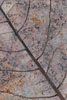 Herbst - Laubdetails
