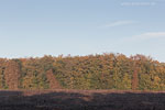 Herbst