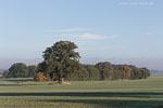 Herbst