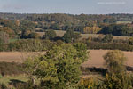 Herbst