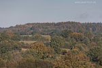 Herbst