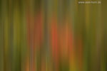 Farben im Herbst