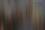 Farben im Herbst