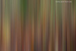 Farben im Herbst