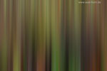 Farben im Herbst