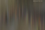 Farben im Herbst