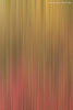 Farben im Herbst