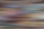 Farben im Herbst