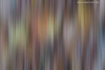 Farben im Herbst