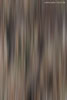 Farben im Herbst