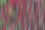 Farben im Herbst