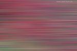 Farben im Herbst