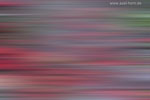 Farben im Herbst
