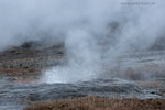 Island im Winter