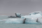 Island im Winter
