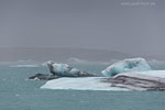 Island im Winter