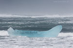 Island im Winter