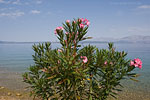 Kroatien
