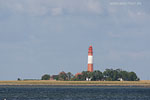 Leuchttrme