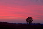 Lichtstimmungen