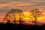 Lichtstimmungen