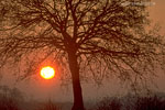 Lichtstimmungen