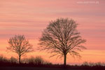 Lichtstimmungen