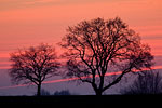 Lichtstimmungen