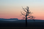 Lichtstimmungen