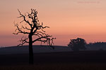 Lichtstimmungen
