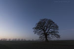 Lichtstimmungen