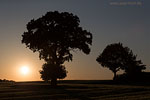 Lichtstimmungen