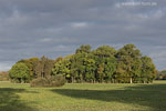 Lichtstimmungen