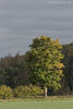 Lichtstimmungen