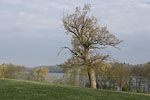 Lichtstimmungen