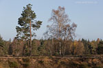 Lichtstimmungen