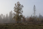 Lichtstimmungen