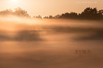 Lichtstimmungen