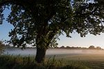 Lichtstimmungen