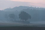 Lichtstimmungen