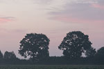 Lichtstimmungen
