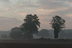 Lichtstimmungen