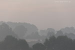 Lichtstimmungen