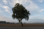 Lichtstimmungen