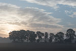 Lichtstimmungen