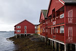 Lofoten
