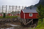 Lofoten